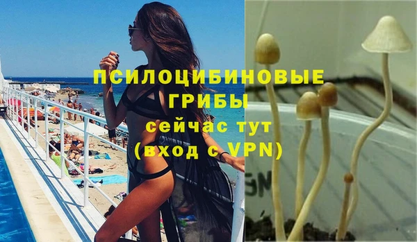 ПСИЛОЦИБИНОВЫЕ ГРИБЫ Абинск