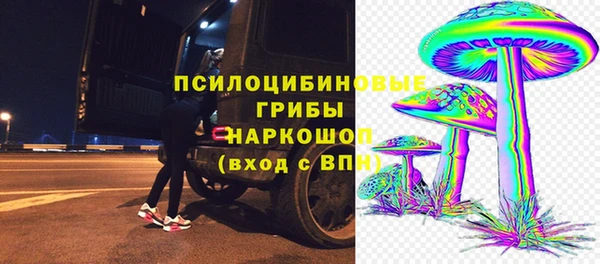 ПСИЛОЦИБИНОВЫЕ ГРИБЫ Абинск